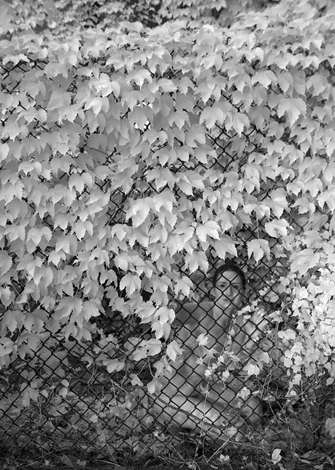 digital-infrared