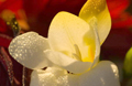 thumbnail-8