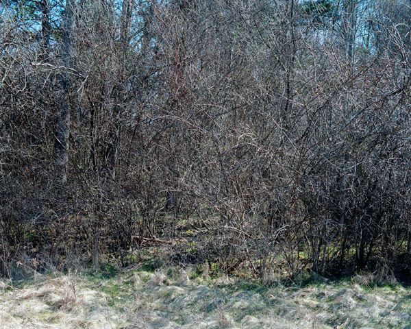 large_03