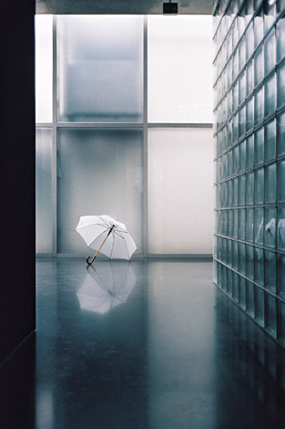 umbrella