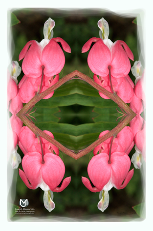 large_7