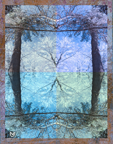 large_8