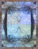 rhumb-8