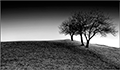 thumb_2